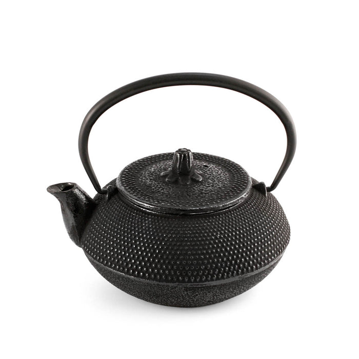 Textured Nanbu Cast Iron Teapot 17 fl oz