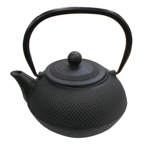 Kiraku Arare Textured Cast Iron Teapot Kyusu with Strainer 23.7 fl oz