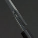 Ishizuchi Blue #2 Kurouchi Hakata 165mm Spine at Heel