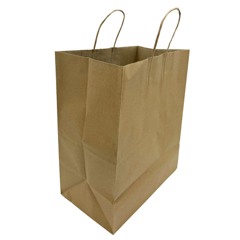 Brown Kraft Paper Shopping Bag Medium (250 pcs/case)