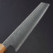 Hado Shiosai VG-10 Kiritsuke Gyuto 210mm Olive Wood Handle Blade