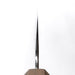 Hado Shiosai SG2 Kiritsuke Gyuto 210mm  Walnut Handle Choil