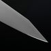Sakai Takayuki TUS Steel Kiritsuke Sujihiki 270mm Tip