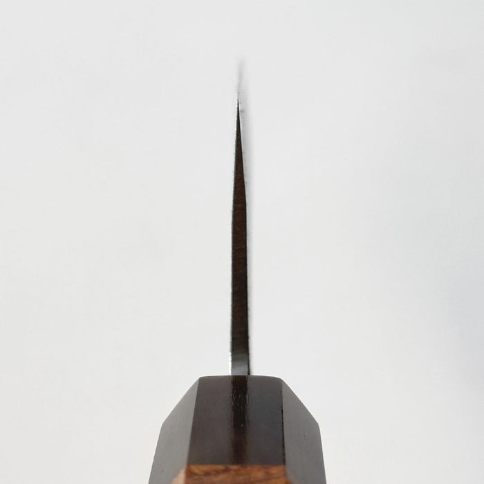 Tadafusa Blue #2 Nashiji Gyuto 240mm Choil