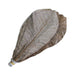 Biodegradable Hoba Leaves Wrapping Sheet (50 pcs)