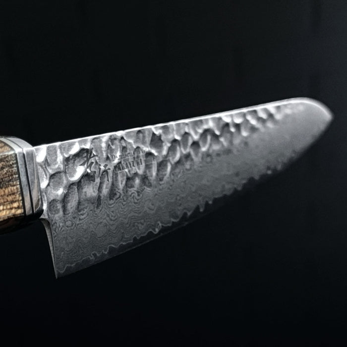 Sakai Takayuki Damascus Hammered VG-10 Petty 180mm Blade