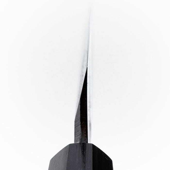 Ishizuchi Blue #2 Kurouchi Yanagi 270mm Choil