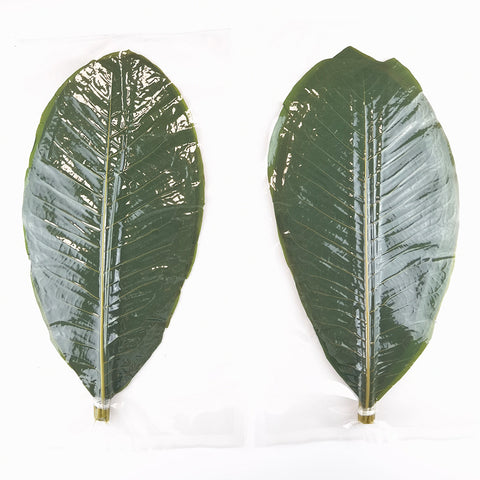 Biodegradable Fresh Hoba Leaves Serving Sheet (20 pcs)