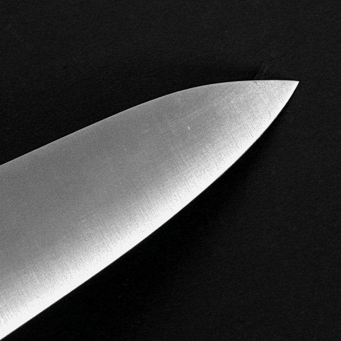 Ittosai Kotetsu Swedish Steel Gyuto 210mm Tip