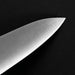 Ittosai Kotetsu Swedish Steel Gyuto 210mm Tip