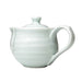 Shigaraki Itteki Kyusu Teapot 10.1 fl oz