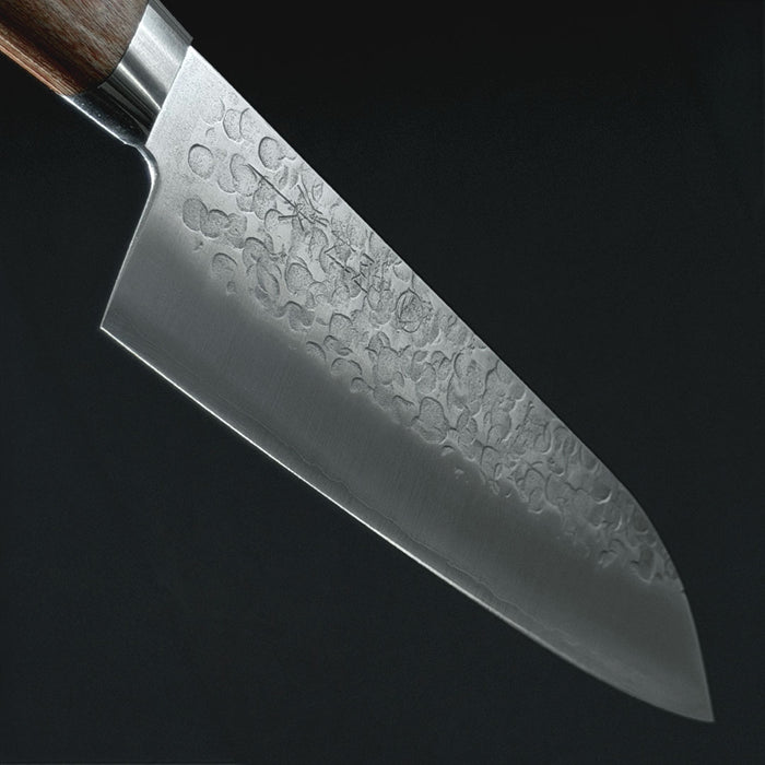 Takamura Chromax Santoku 170mm Blade
