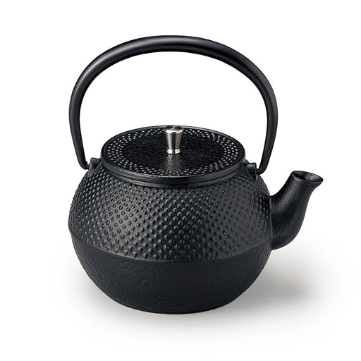 Nanbu Cast Iron Teapot Kyusu 13 fl oz