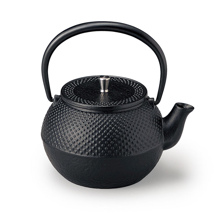 Nanbu Cast Iron Teapot Kyusu 13 fl oz