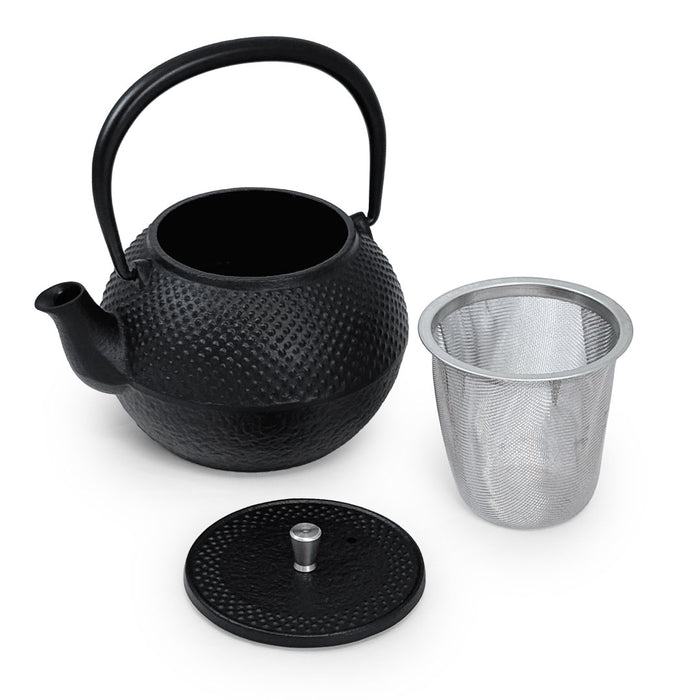 Nanbu Cast Iron Teapot Kyusu 13 fl oz