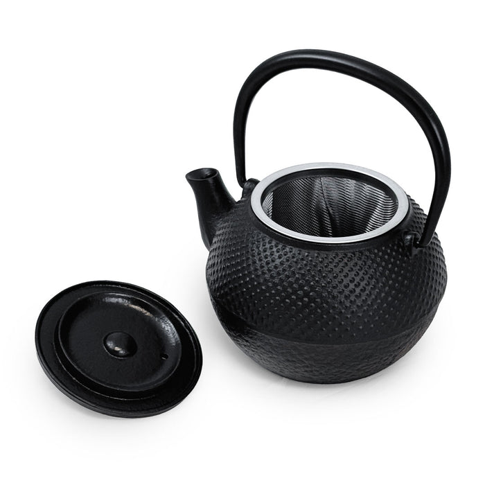 Nanbu Cast Iron Teapot Kyusu 13 fl oz