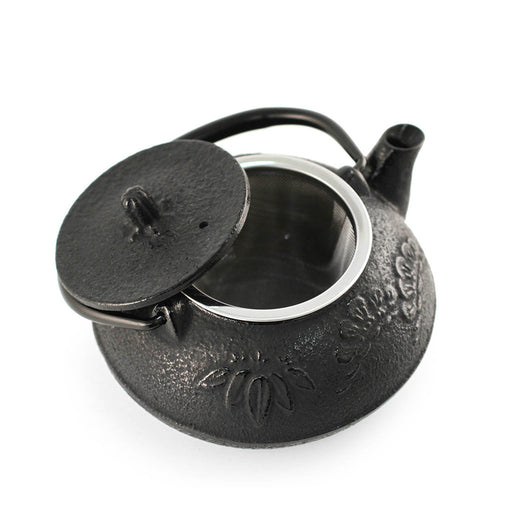 Nanbu Cast Iron Teapot Shochikubai 10 fl oz