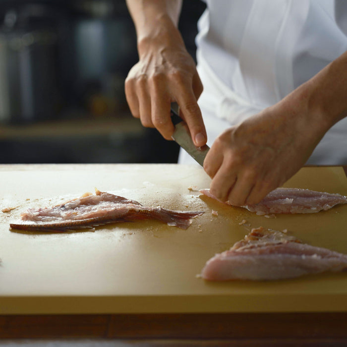 Parker Asahi Rubber Cutting Board Fablicating Fish