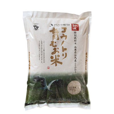 Organic Kounotori Koshihikari Japanese Short Grain White Rice 5 kg (11 lbs)