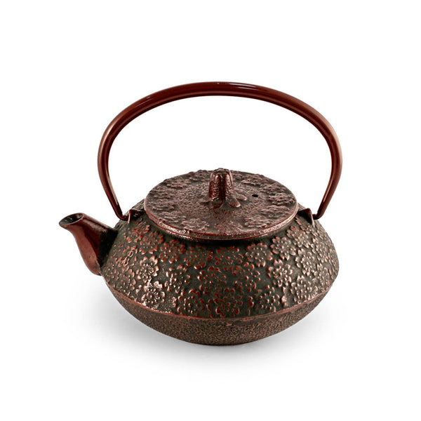 Sakura Cherry Blossom Nanbu Cast Iron Teapot Kyusu 18 fl oz — MTC