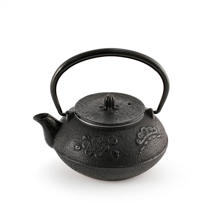 Nanbu Cast Iron Teapot Shochikubai 10 fl oz
