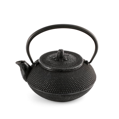 Arare Textured Nanbu Cast Iron Teapot Kyusu 17 fl oz